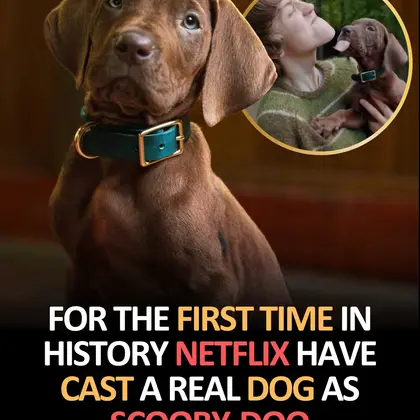 Featured image for SCOOBY-DOO: ORIGINS – Netflix Brings the Legendary Mystery-Solving Dog to Life